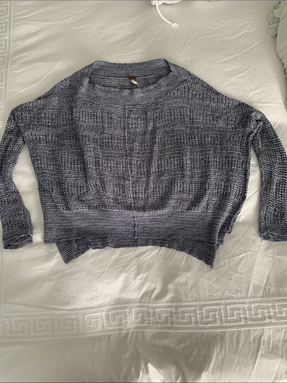 Free People brand Light Blue Crewneck Sweater